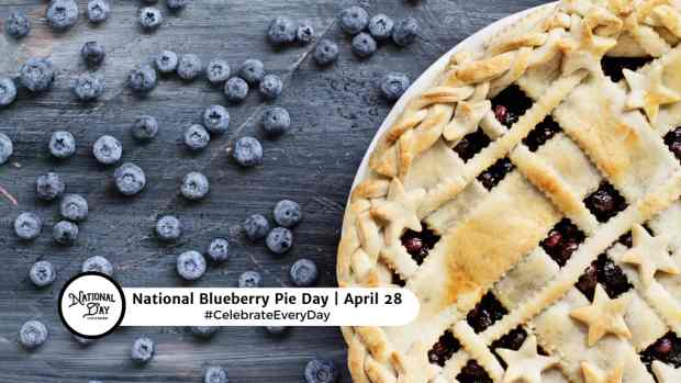NATIONAL BLUEBERRY PIE DAY  April 28