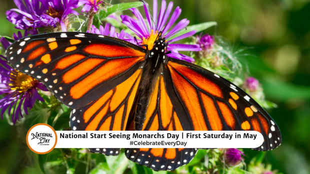 NATIONAL START SEEING MONARCHS DAY  First Saturday in May