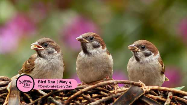 BIRD DAY  May 4