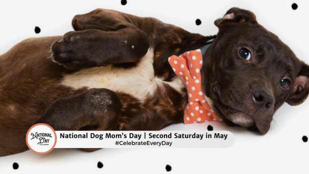 NATIONAL DOG MOM'S DAY  Second Saturday in May