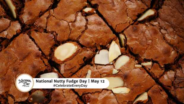 NATIONAL NUTTY FUDGE DAY  May 12