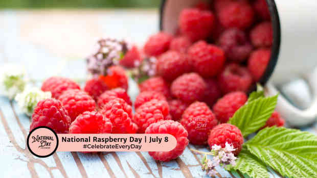 NATIONAL RASPBERRY DAY | July 8