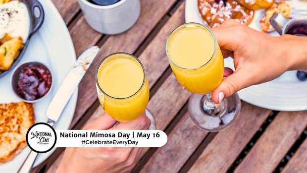 NATIONAL MIMOSA DAY  May 16