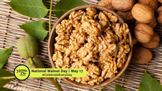 NATIONAL WALNUT DAY  May 17