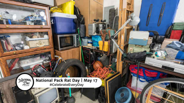 NATIONAL PACK RAT DAY  May 17