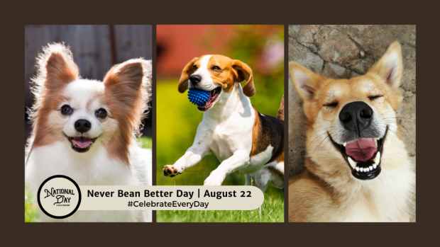 NEVER BEAN BETTER DAY | August 22