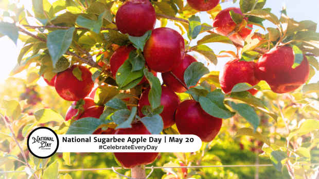 NATIONAL SUGARBEE APPLE DAY  May 20