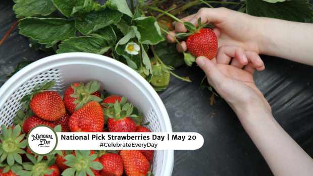 NATIONAL PICK STRAWBERRIES DAY  May 20