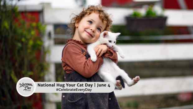 NATIONAL HUG YOUR CAT DAY  June 4