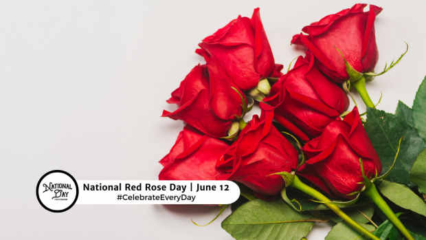 NATIONAL RED ROSE DAY  June 12