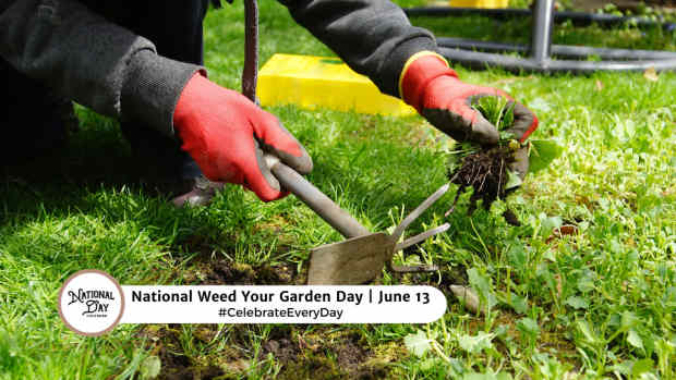 NATIONAL WEED YOUR GARDEN DAY  June 13