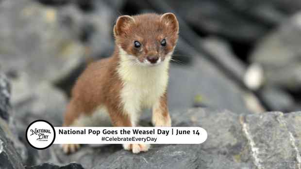 NATIONAL POP GOES THE WEASEL DAY  June 14