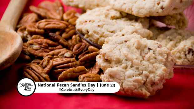 NATIONAL PECAN SANDIES DAY  June 23