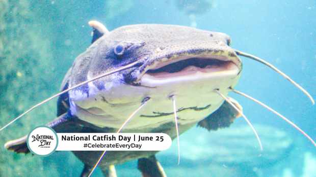 NATIONAL CATFISH DAY  June 25