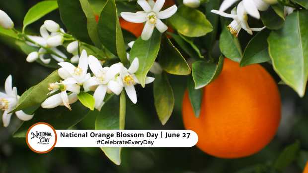 NATIONAL ORANGE BLOSSOM DAY  June 27