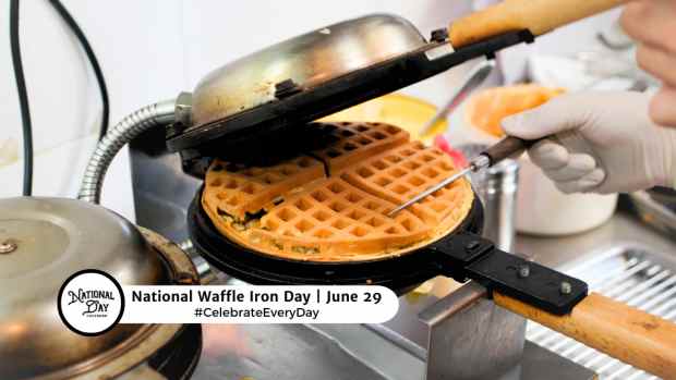 NATIONAL WAFFLE IRON DAY  June 29