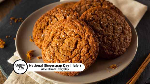 NATIONAL GINGERSNAP DAY  July 1