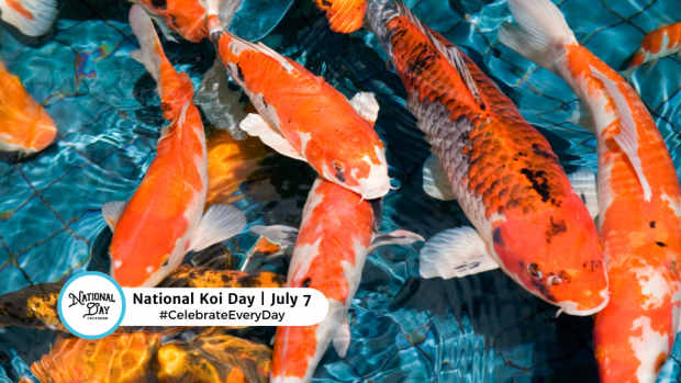 NATIONAL KOI DAY  July 7