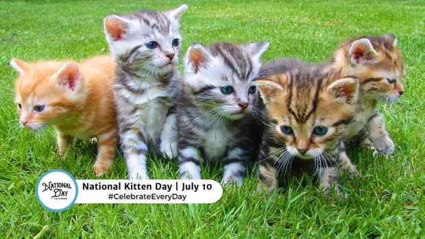 NATIONAL KITTEN DAY  July 10