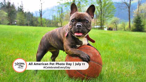 ALL AMERICAN PET PHOTO DAY  July 11