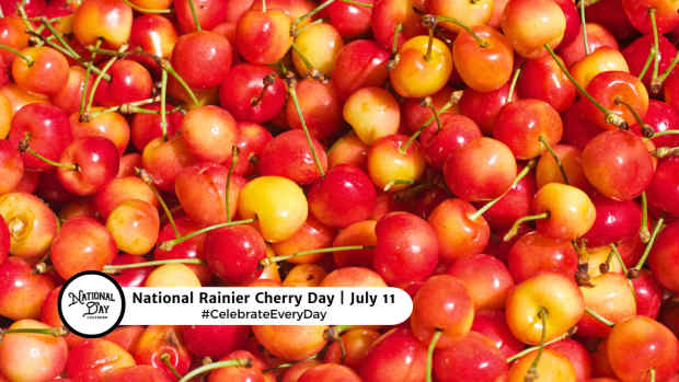 NATIONAL RAINIER CHERRY DAY  July 11