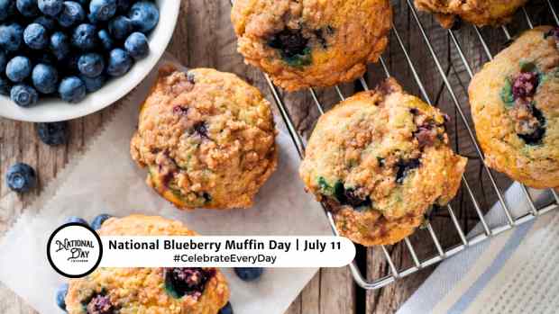 NATIONAL BLUEBERRY MUFFIN DAY  July 11