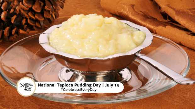 NATIONAL TAPIOCA PUDDING DAY  July 15