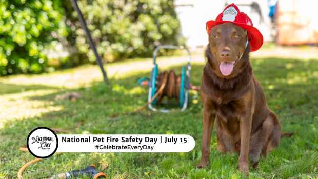 NATIONAL PET FIRE SAFETY DAY  July 15