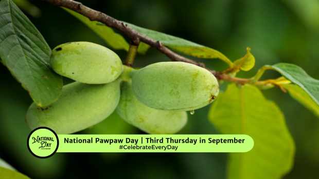 NATIONAL PAWPAW DAY | Third Thursday in September