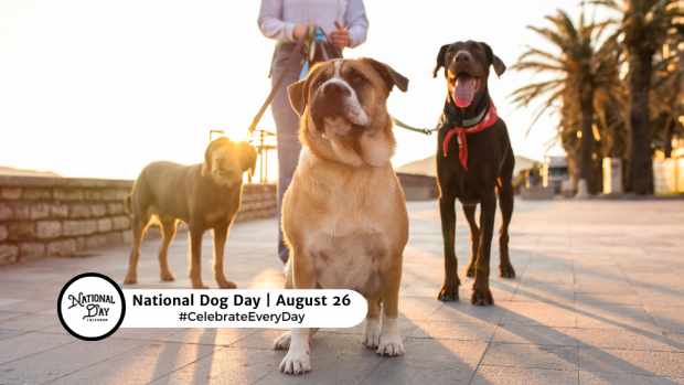 NATIONAL DOG DAY  August 26