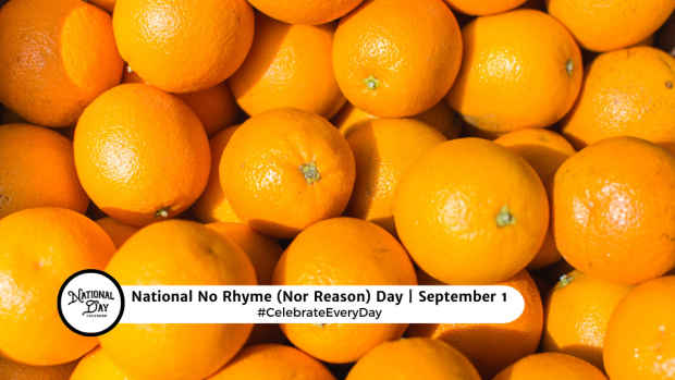 NATIONAL NO RHYME NOR REASON DAY  September 1