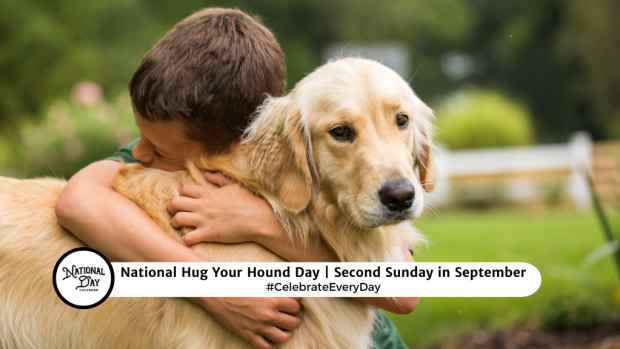 NATIONAL HUG YOUR HOUND DAY  Second Sunday in September