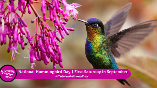 NATIONAL HUMMINGBIRD DAY | First Saturday in September