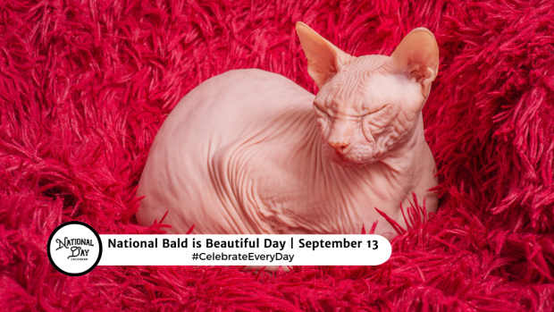 NATIONAL BALD IS BEAUTIFUL DAY  September 13