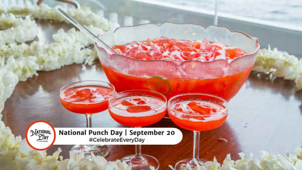 NATIONAL PUNCH DAY  September 20