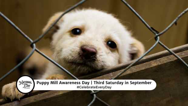 PUPPY MILL AWARENESS DAY  September 21