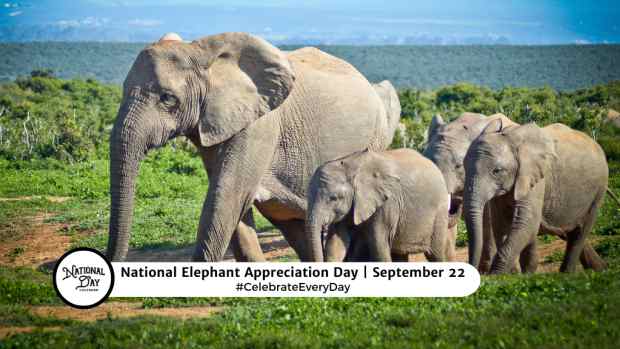 NATIONAL ELEPHANT APPRECIATION DAY  September 22