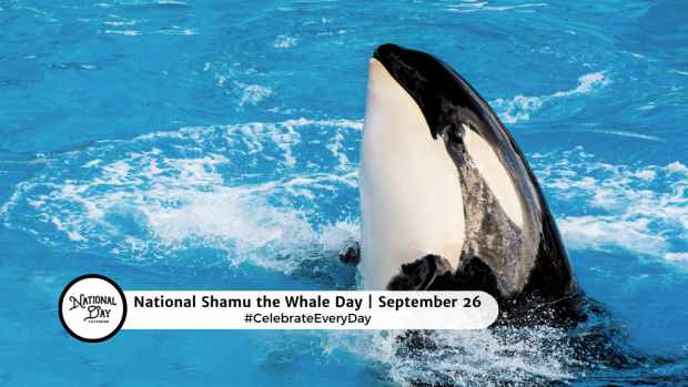 NATIONAL SHAMU THE WHALE DAY  September 26