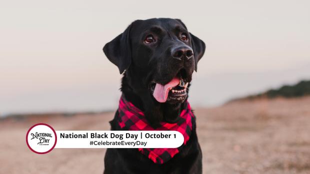 NATIONAL BLACK DOG DAY  October 1