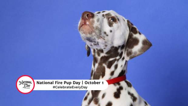 NATIONAL FIRE PUP DAY OCTOBER 1