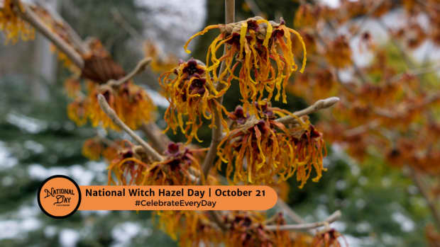 National Witch Hazel Day