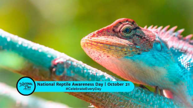 National Reptile Awareness Day