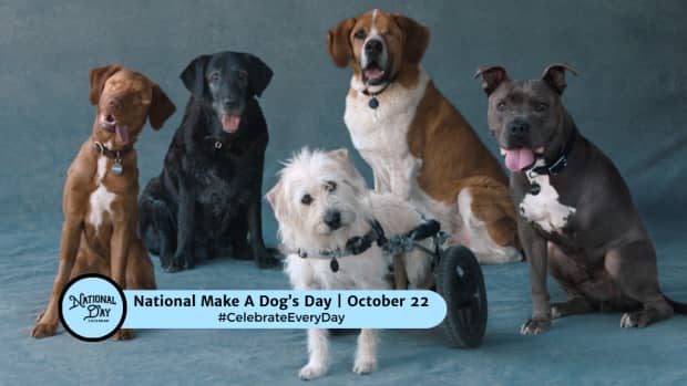 National Make A Dog's Day