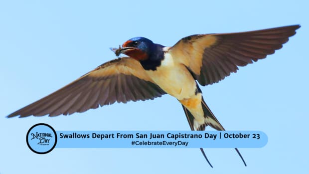 SWALLOWS DEPART FROM SAN JUAN CAPISTRANO DAY 