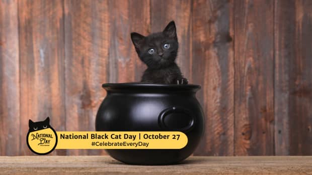 National Black Cat Day