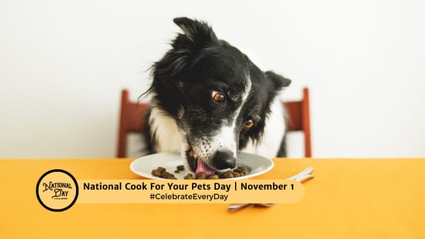 National Cook For Your Pets Day