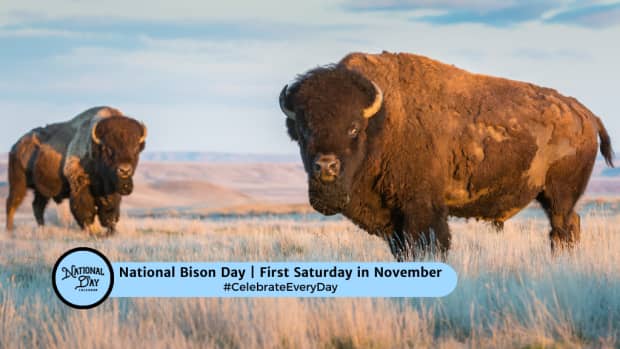 National Bison Day