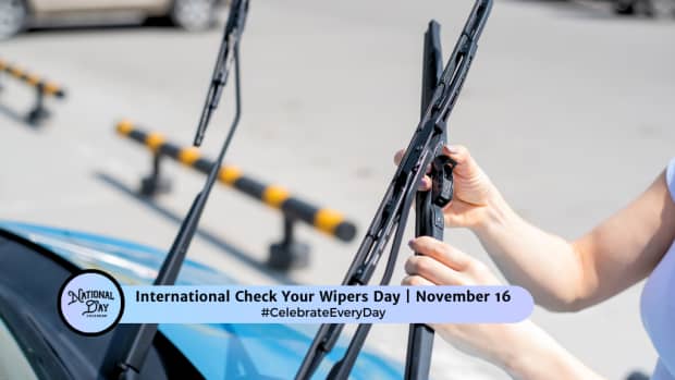 INTERNATIONAL CHECK YOUR WIPERS DAY | November 16