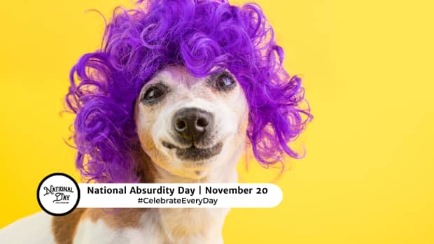 National Absurdity Day