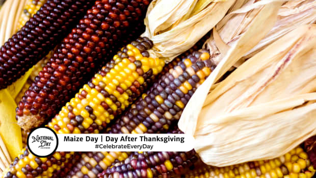 Maize Day